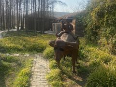 -溱湖国家湿地公园