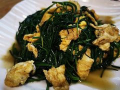 -敦煌达记酱驴肉黄面馆