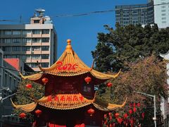 -越秀西湖花市(广州城市广场花卉店)