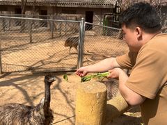 -石家庄市动物园