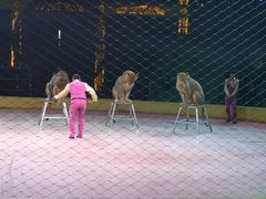 -山西乌金山旅游区