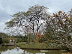 -中国科学院西双版纳热带植物园