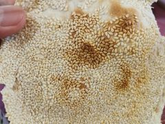 -老字号羊杂城(唐县店)