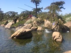 -罗红摄影艺术馆