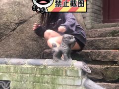 -老张烤羊(王哥庄店)
