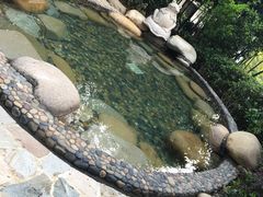 -天目湖涵田半山温泉