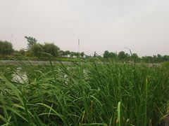 -郑东新区龙湖公共艺术中心