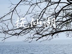 -抚仙湖禄充风景区