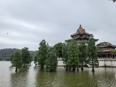 -顺峰山公园