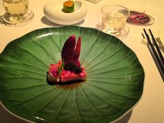 -金轩中餐厅 Jin Xuan(浦东丽思卡尔顿酒店)