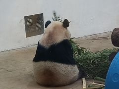 -杭州动物园