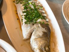 -船歌·鱼水饺青岛菜(石老人店)