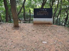 -马王堆汉墓遗址