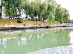 -皇家御河游(紫御湾码头)