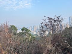 -乌山风景区