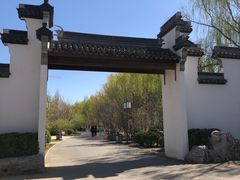 -桃花堤公园
