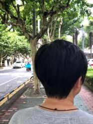 短发-V-STAR威斯达•高级私人定制