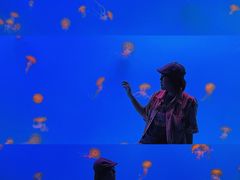 -福州欧乐堡水上乐园