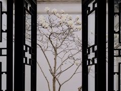 -耦园