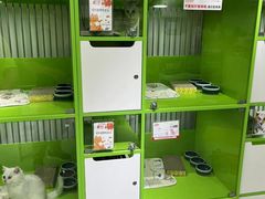 -唐小姐の猫狗洗护·购宠旗舰店(周浦万达店)