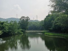 -八卦田遗址公园