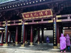 -庐山风景名胜区-东林大佛