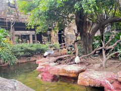 -长鹿旅游休博园