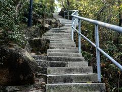 -野狸岛