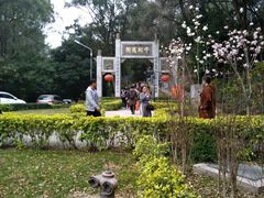 -南国桃园旅游度假区