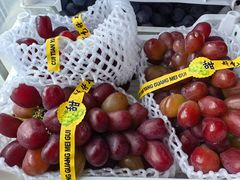 -马陆小张葡萄园农家乐