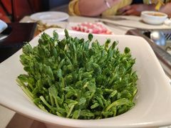 -海底捞火锅(团结桥店)