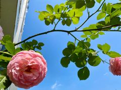 -成都市活水公园