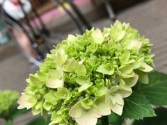 -灯塔咖啡馆BOOK·Coffee Shop