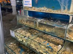 -仙螺岛海鲜自助餐厅(总店)