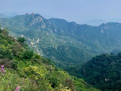 -大岭沟猕猴桃谷风景区