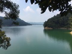 -广州市流溪河国家森林公园