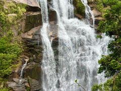 -海南热带雨林国家公园吊罗山景区