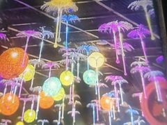 -海合安青岛极地海洋公园