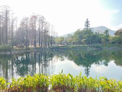 -四海公园(南山区)