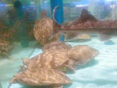 -阿伟海鲜楼·福建菜(延寿店)