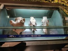 -大庆市博物馆