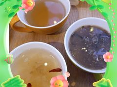 -美食小镇·观赏珍稀鸟类·长隆熊猫酒店