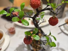 -椿记烧鹅(叠彩店)