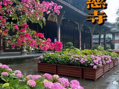 -古大圣慈寺