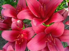 -长春公园(普阳街道)