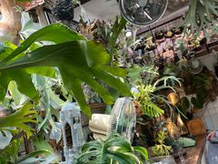-大水的店(昙华林店)