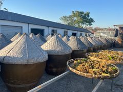 -苏州市吴中区光福窑上花果蜜饯厂