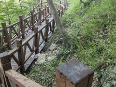 -皇藏峪国家森林公园
