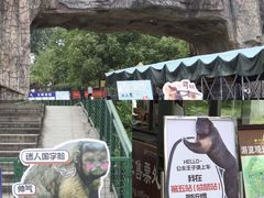 -合肥野生动物园