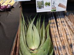 -果蔬好生活超市(乐堤港店)